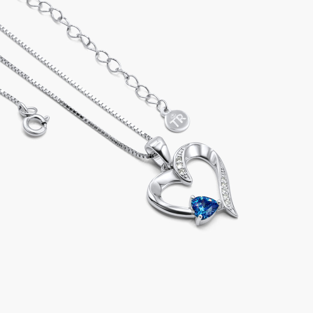Zielsverwant In Mijn Hart - Sterling Zilveren Heilig Hart Ketting - 5 Kleuren