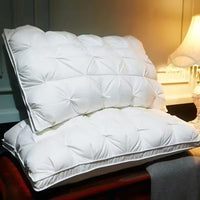 Avelo Cloud Support Pillows (Set of 2)